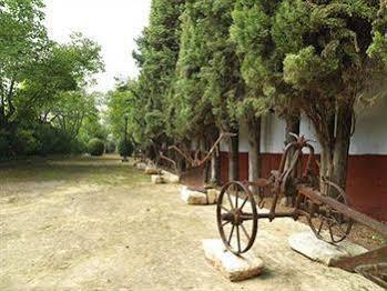 Hacienda La Vereda Montilla Ngoại thất bức ảnh